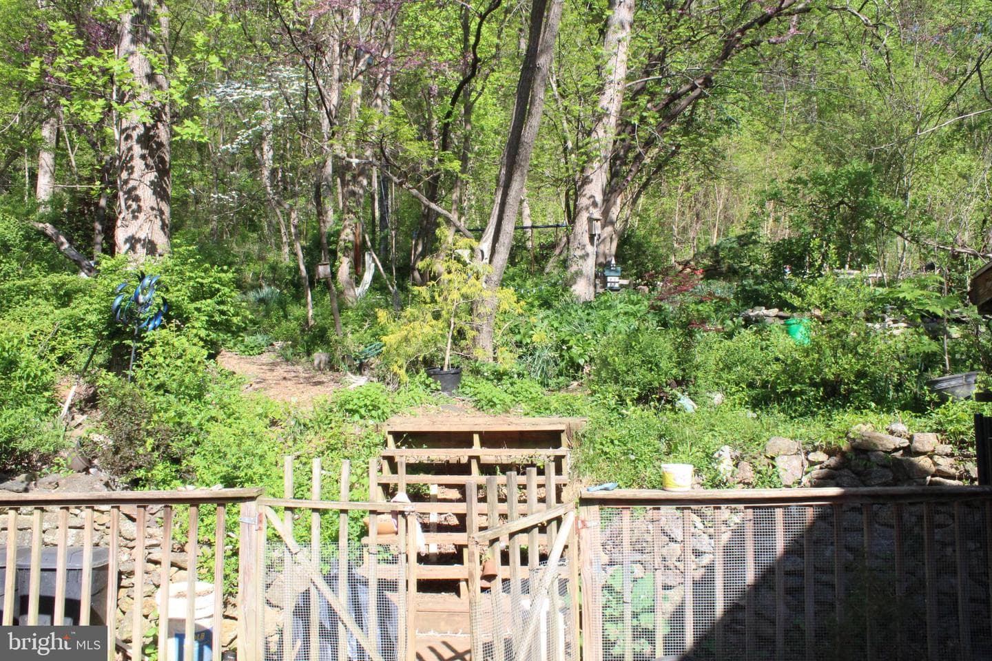 446 Spring Drive photo 21