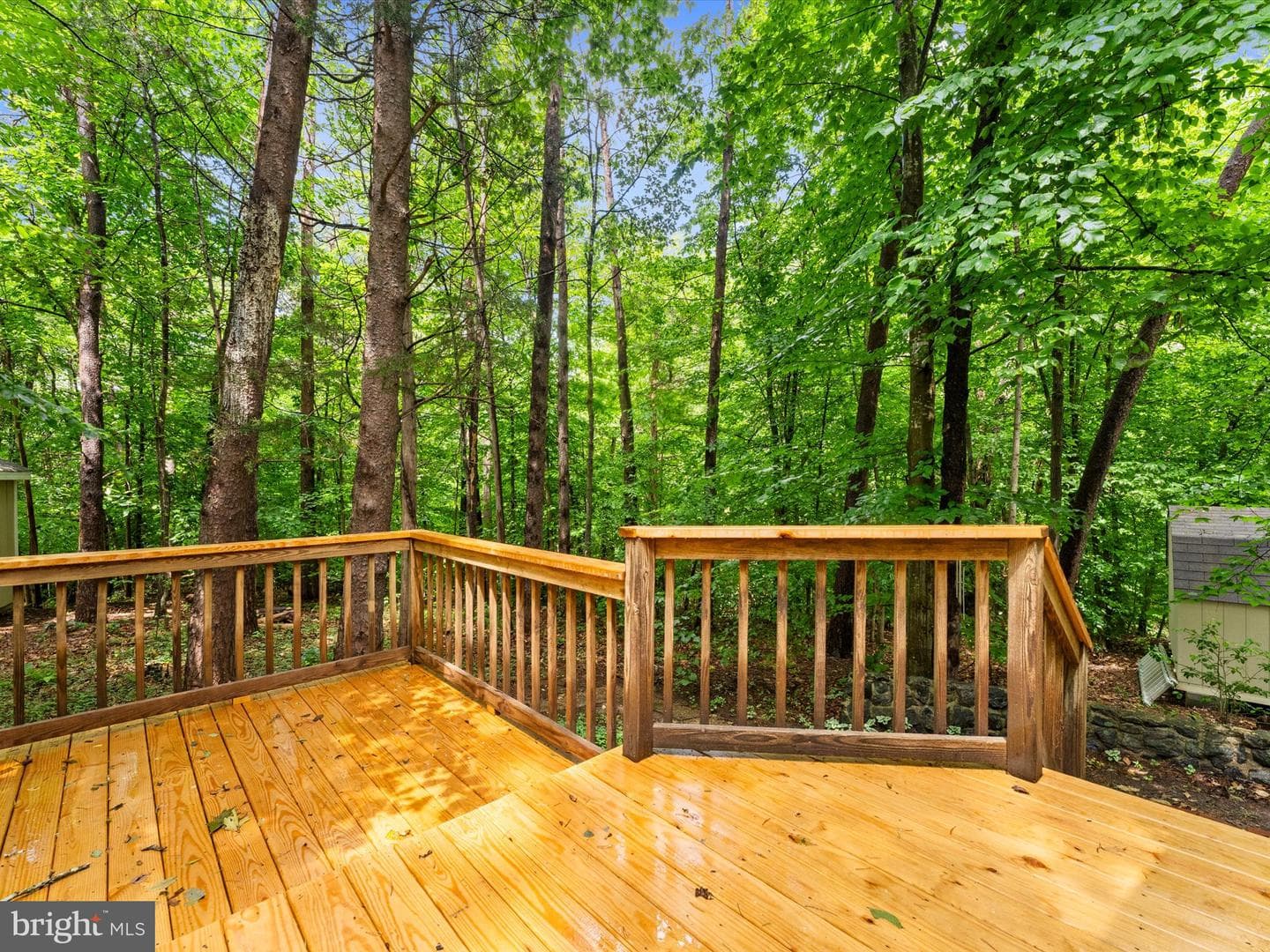 93 W Cedar Drive photo 57