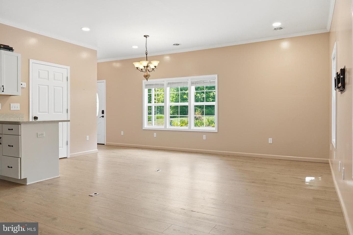 115 Doe Drive photo 24