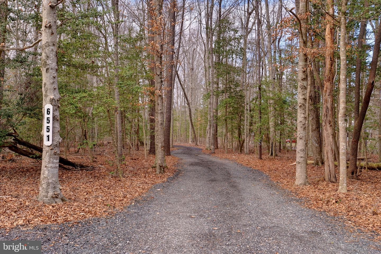 6551 Beaverdam Lane photo 40