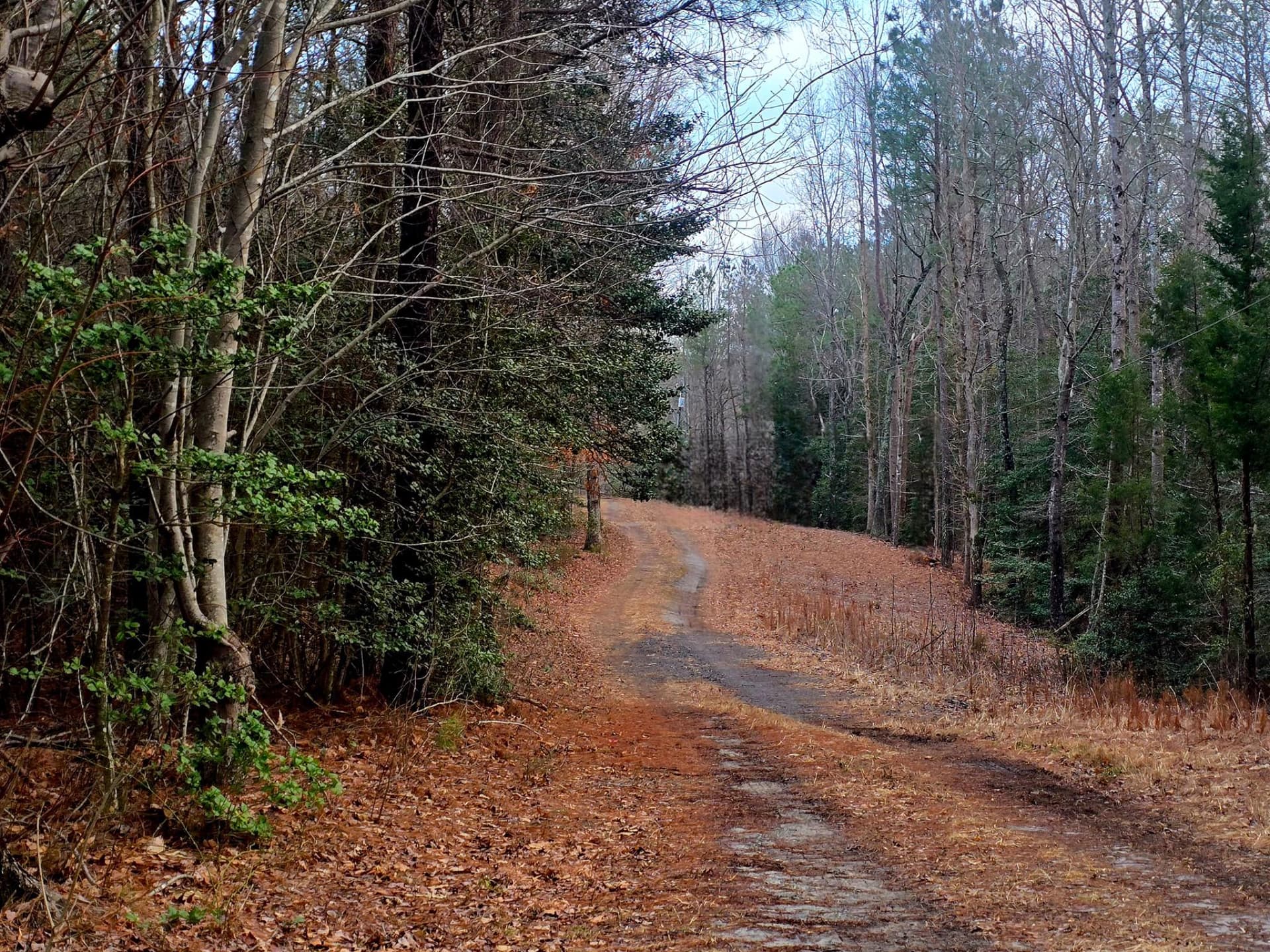 3746 Enos Road photo 2