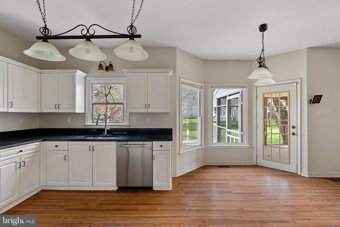 10188 Spring Ivy Lane photo 14