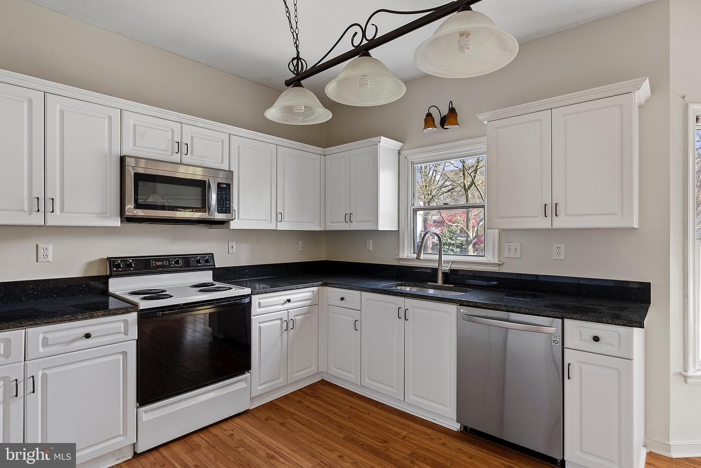 10188 Spring Ivy Lane photo 15
