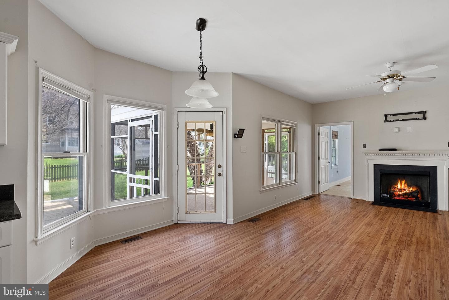 10188 Spring Ivy Lane photo 19