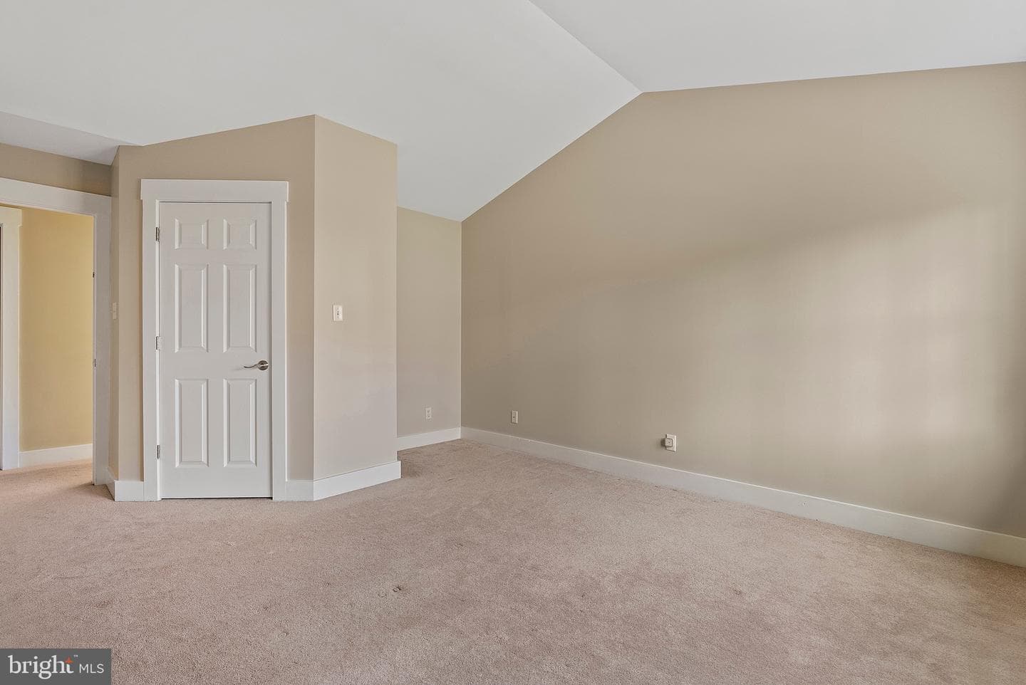 10188 Spring Ivy Lane photo 43