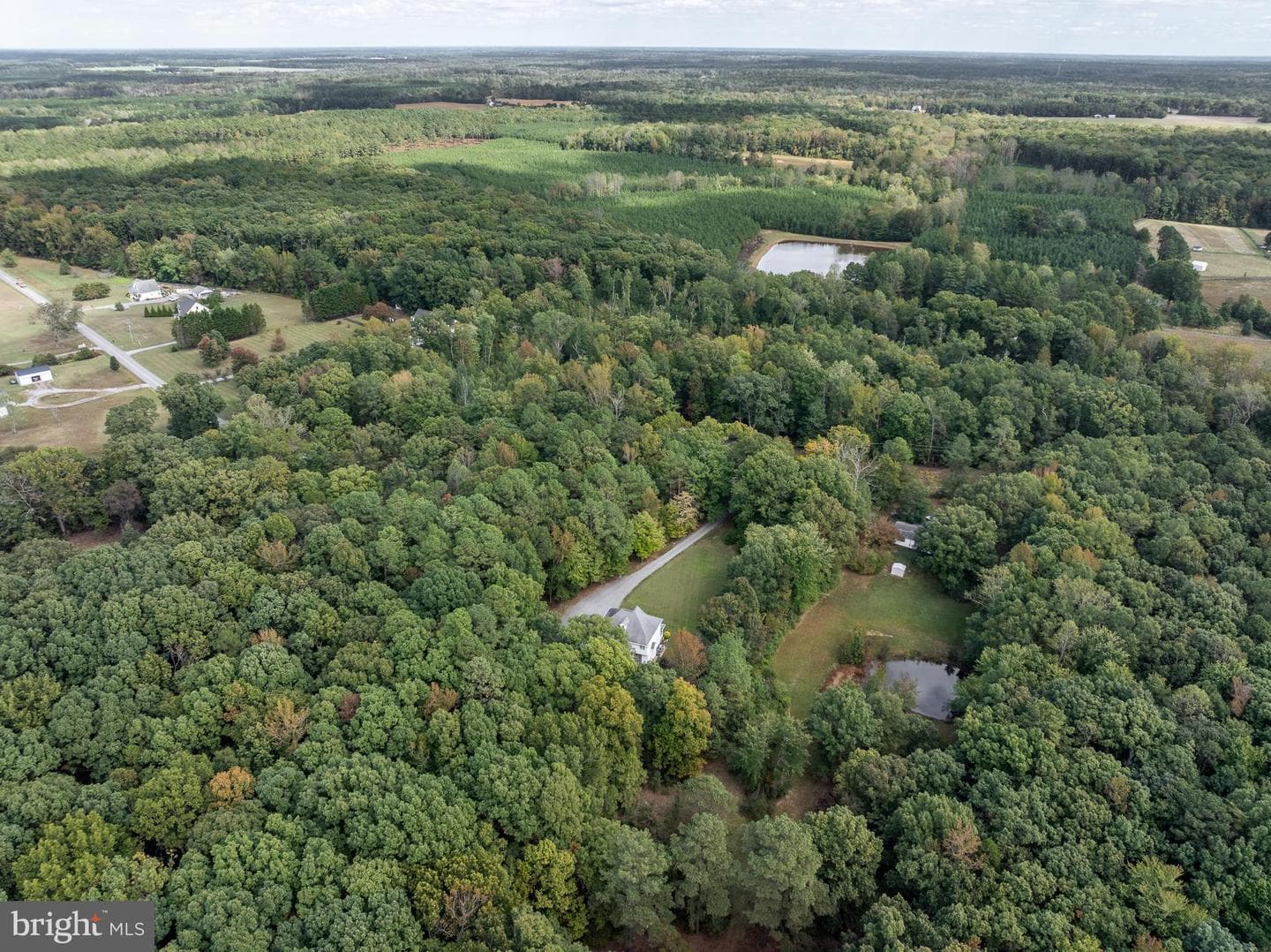 15341 Goshen Road photo 33