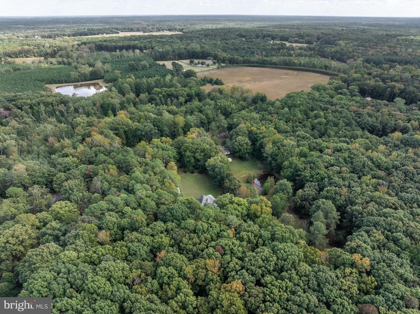 15341 Goshen Road photo 8