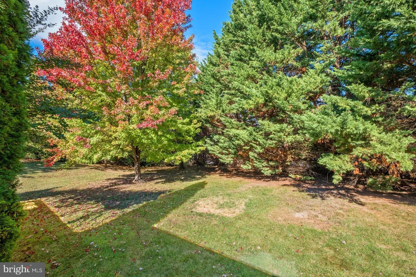 2221 Lake Terrace Drive #a photo 16