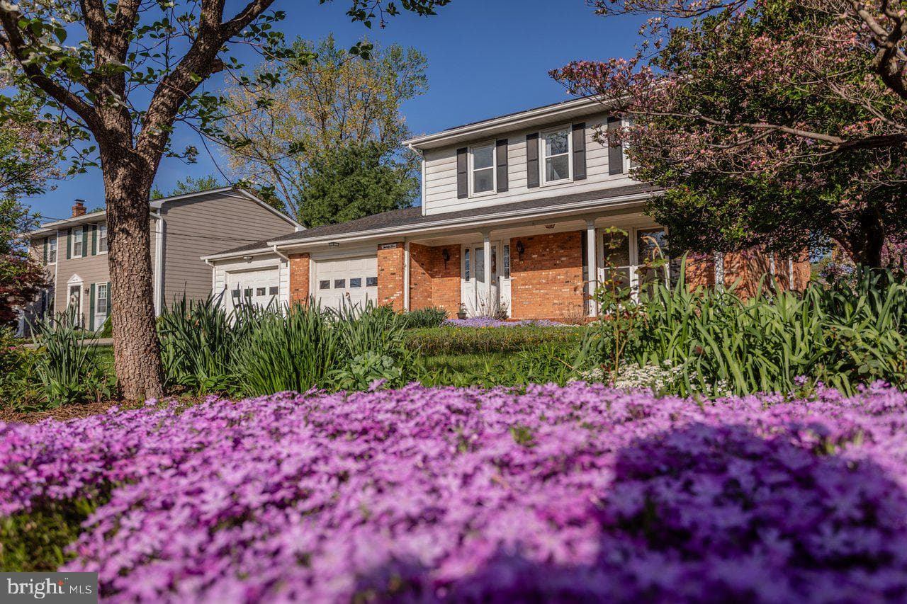 25 Emery Street photo 76