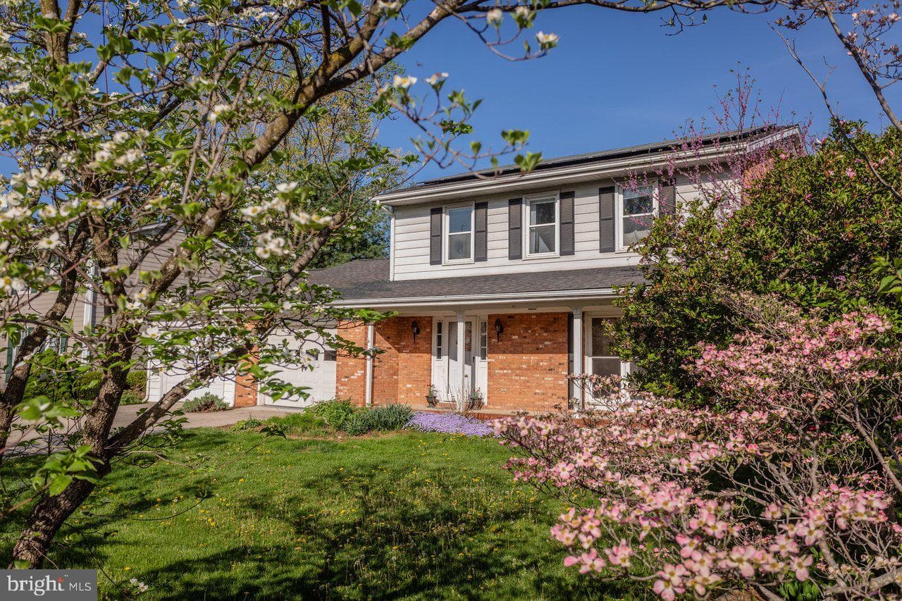 25 Emery Street photo 77