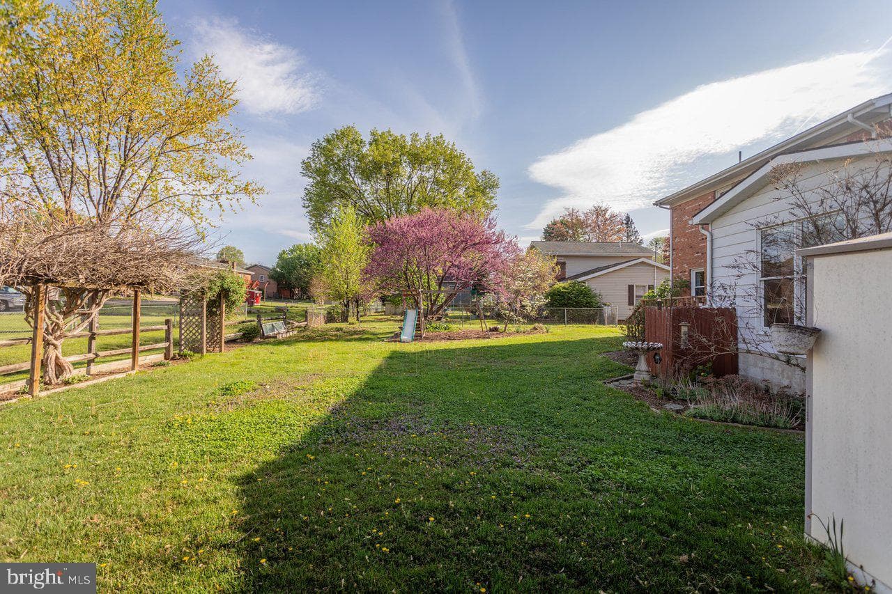 25 Emery Street photo 83