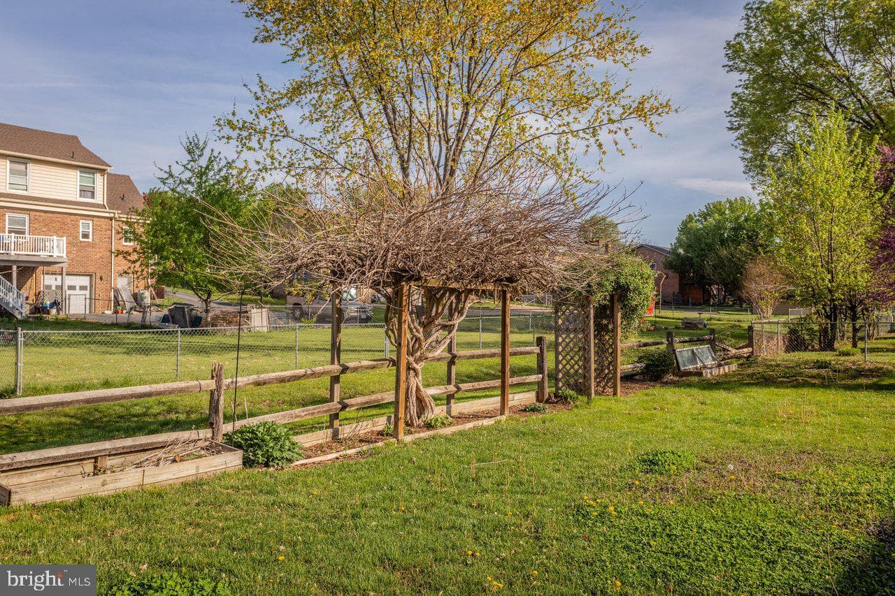 25 Emery Street photo 84