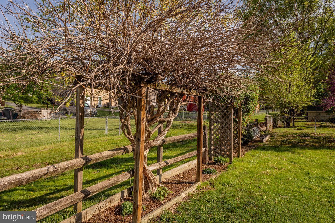 25 Emery Street photo 85