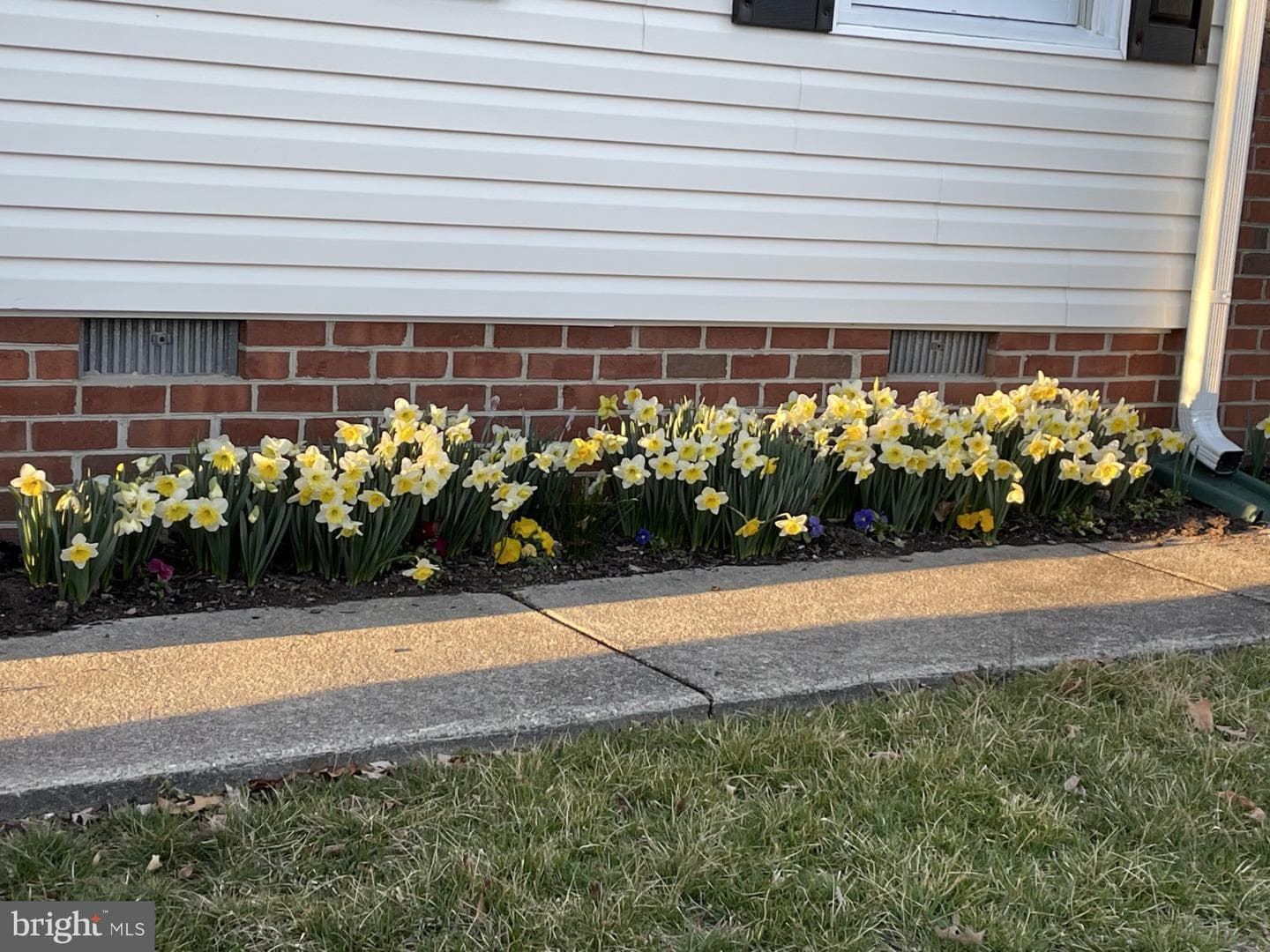 12023 Bexley photo 31