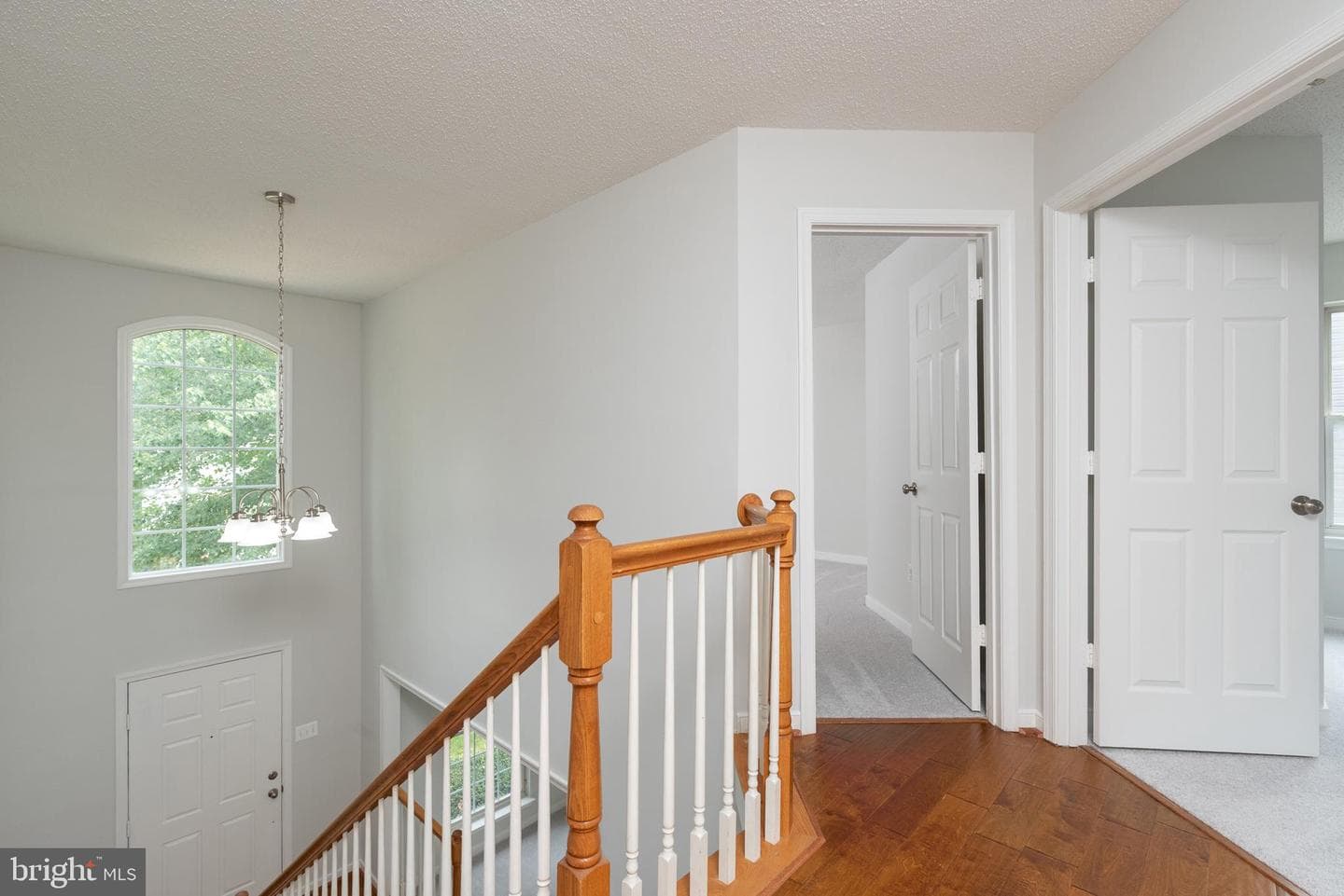 4205 Seamore Street photo 27