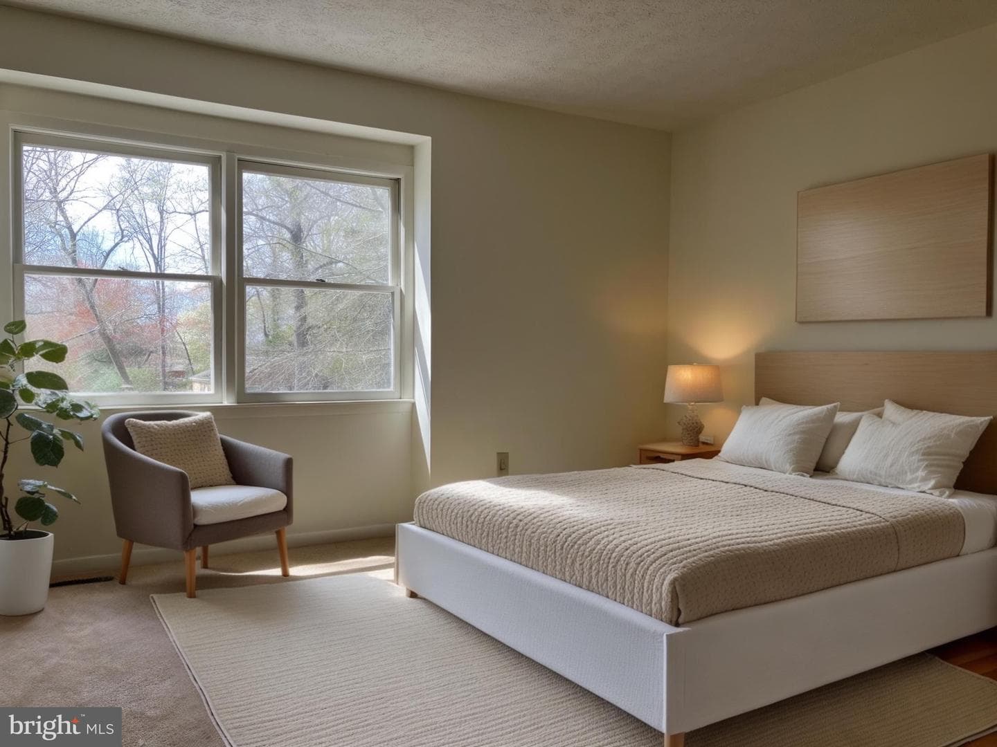 158 Albemarle Drive photo 6