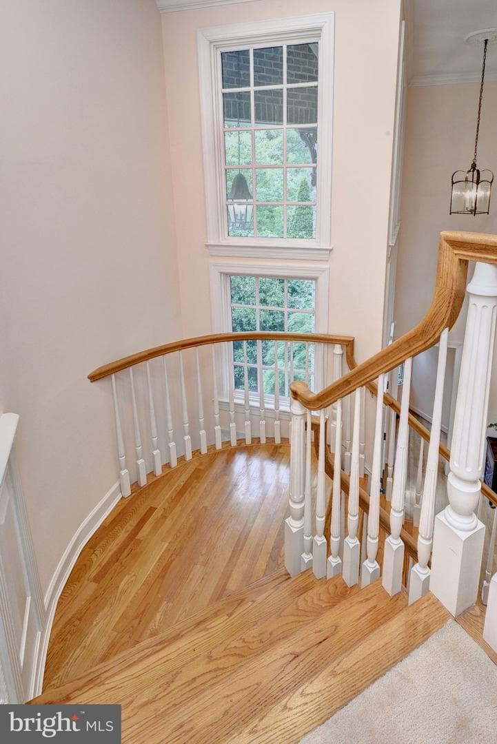 20 The Palisades photo 36