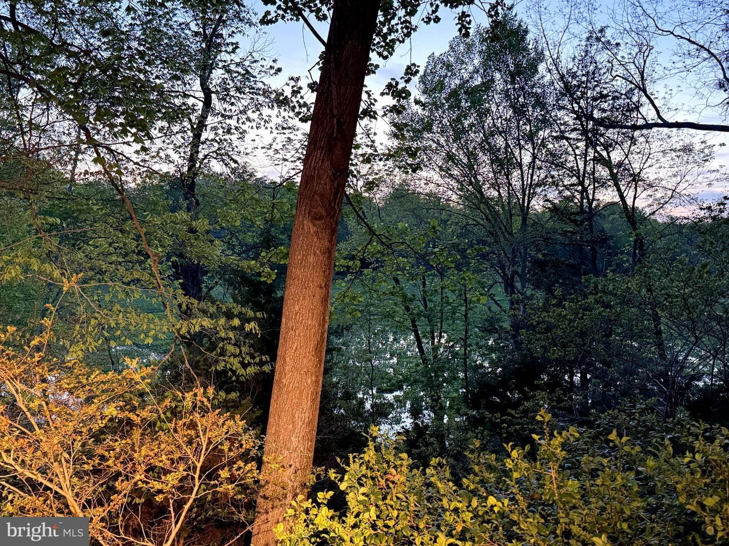 20 The Palisades photo 59