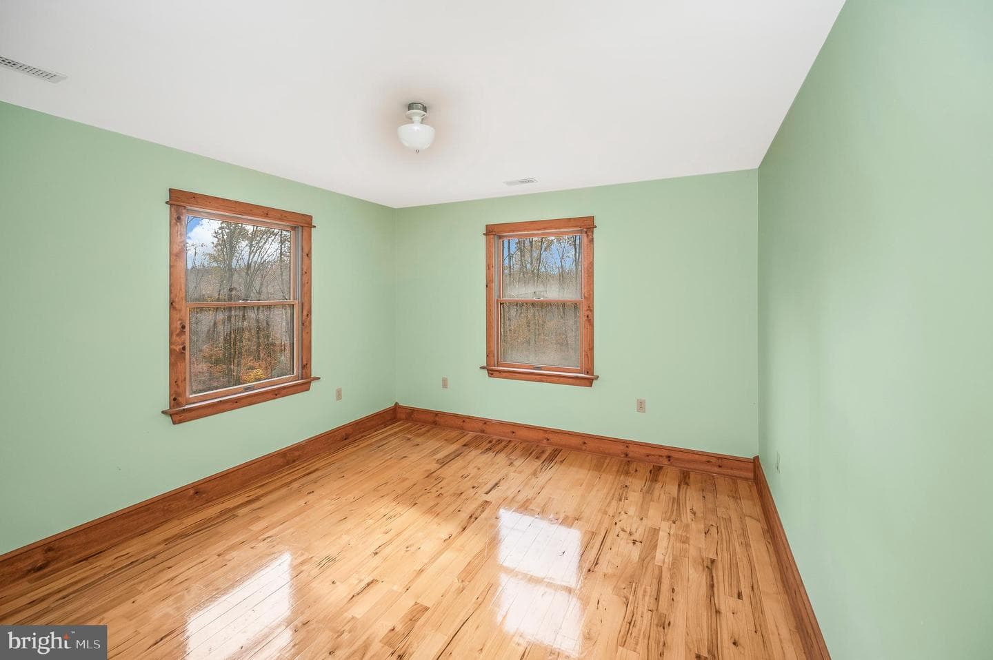 4099 Red Gate Lane photo 24