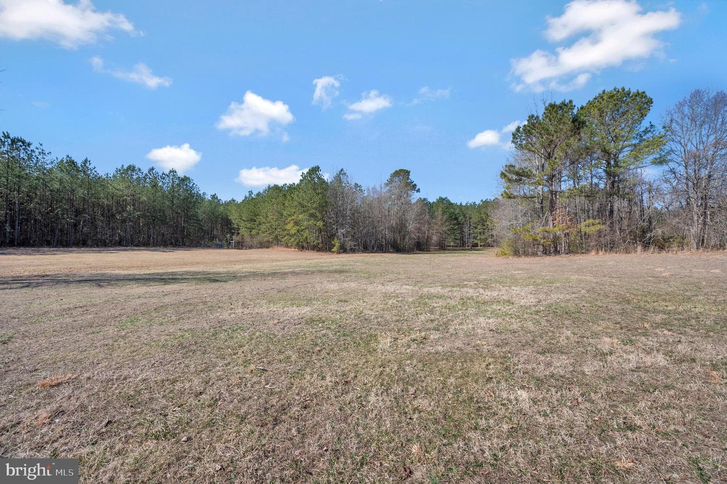15389 Big Timber Road photo 54