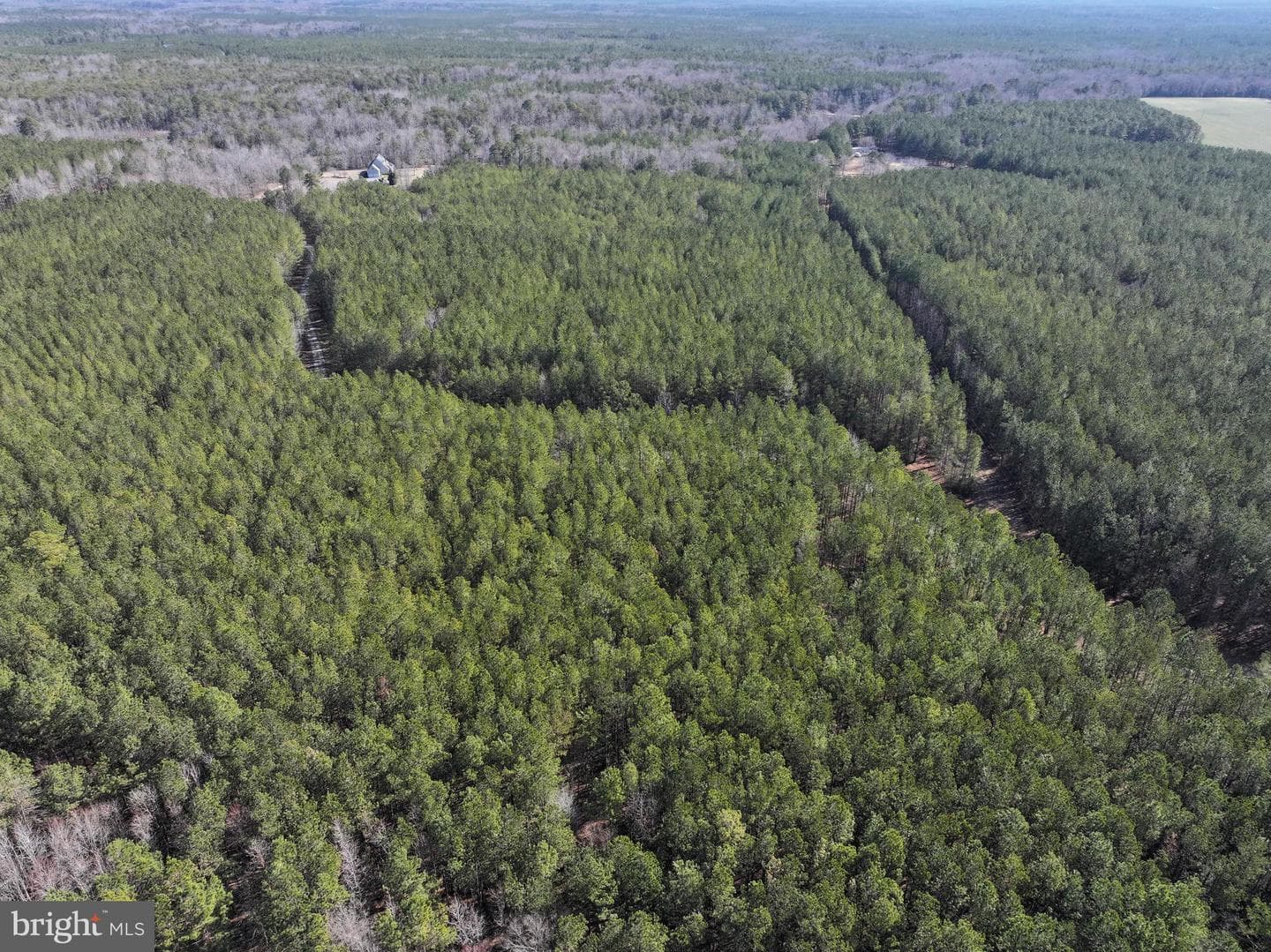 15389 Big Timber Road photo 68