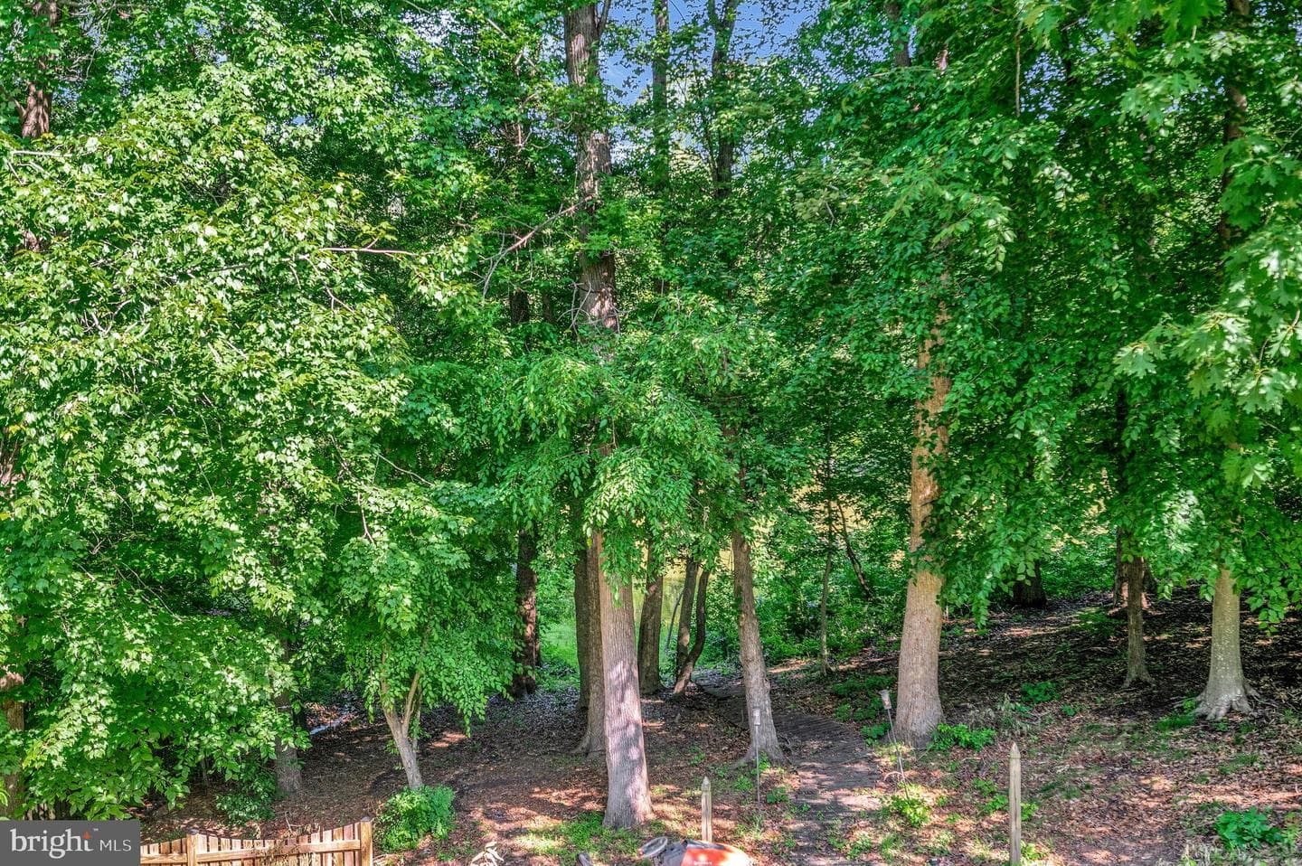 6338 Wheeler Drive photo 54