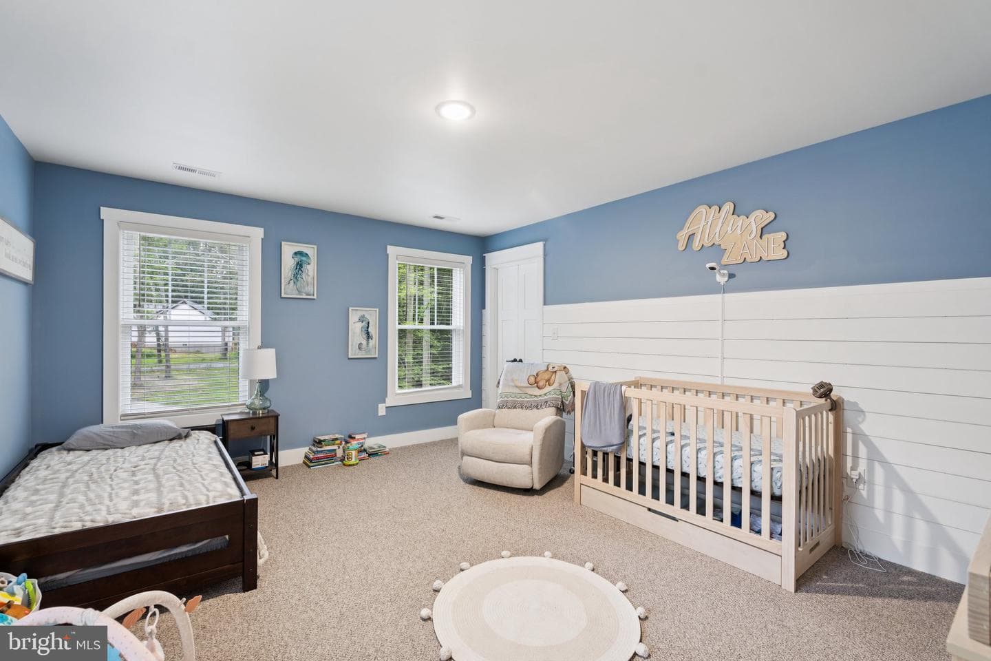 10042 Natural Grass Way photo 12