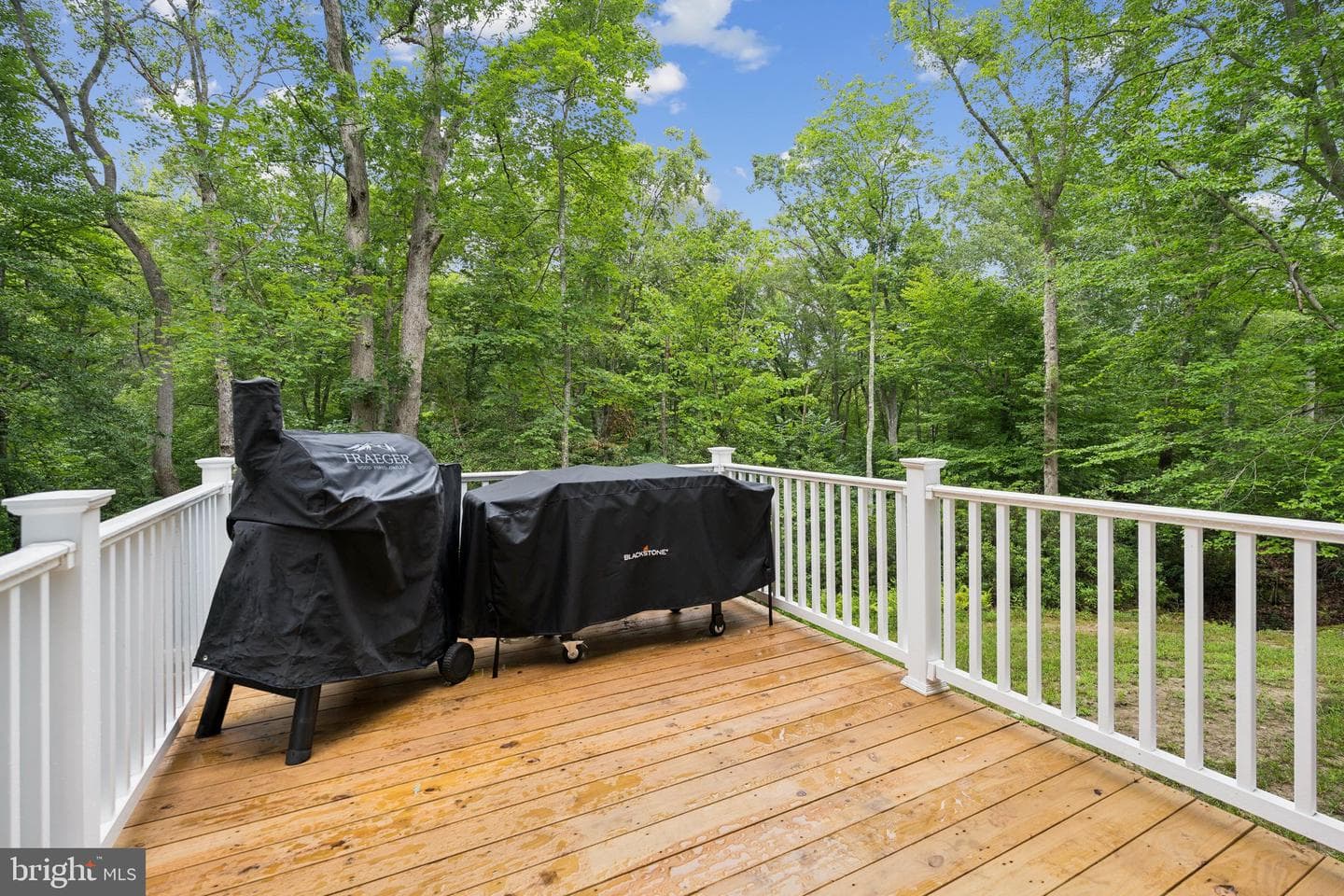 10042 Natural Grass Way photo 23