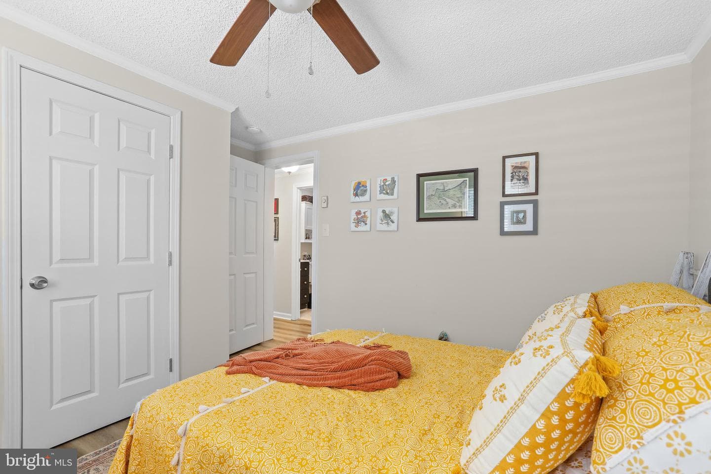 6137 1st Street photo 24
