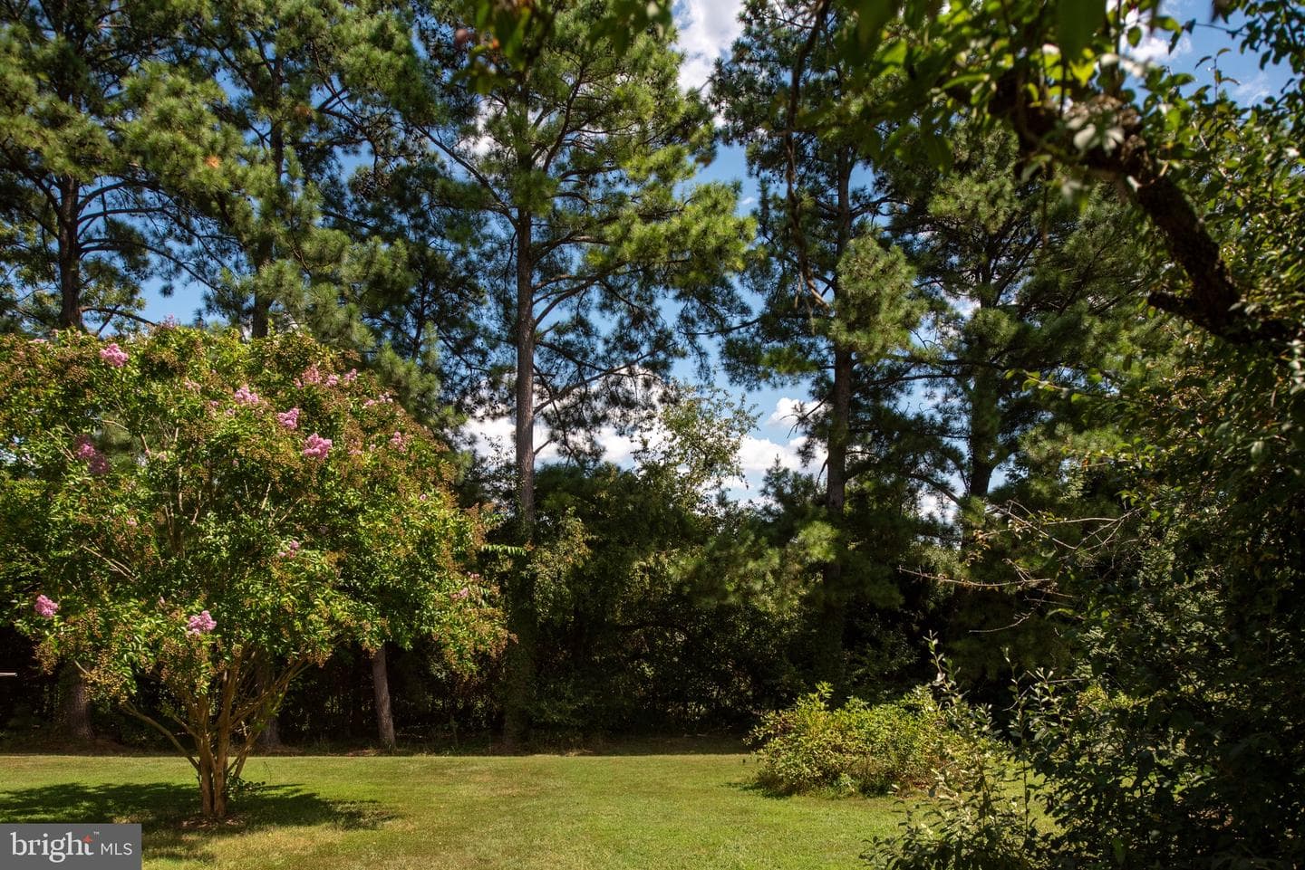 1225 Woodstock Road photo 58