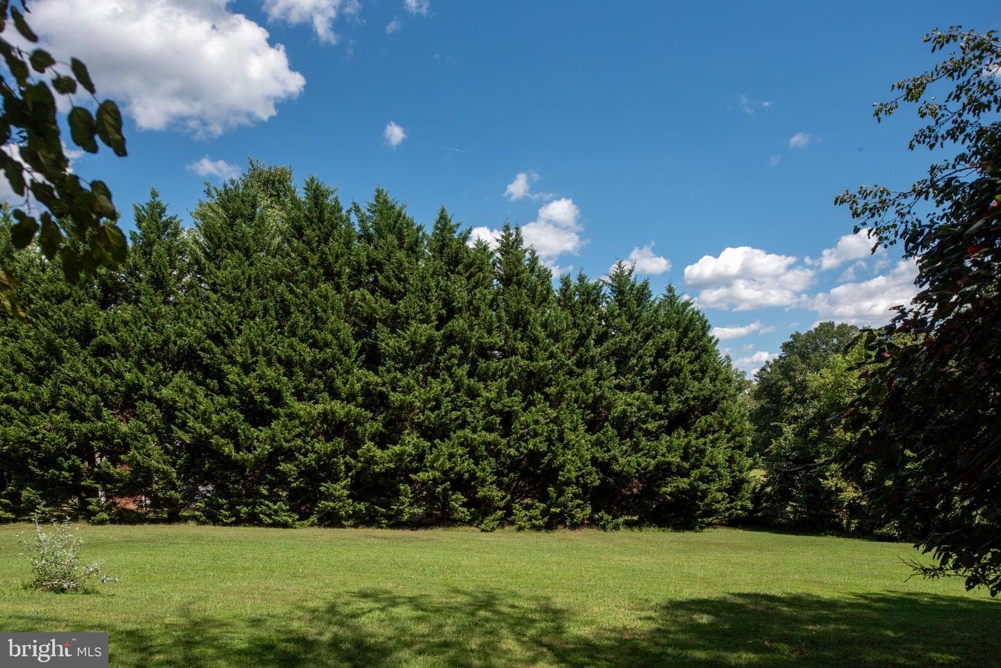 1225 Woodstock Road photo 68