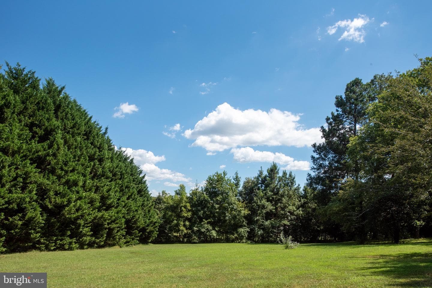 1225 Woodstock Road photo 78