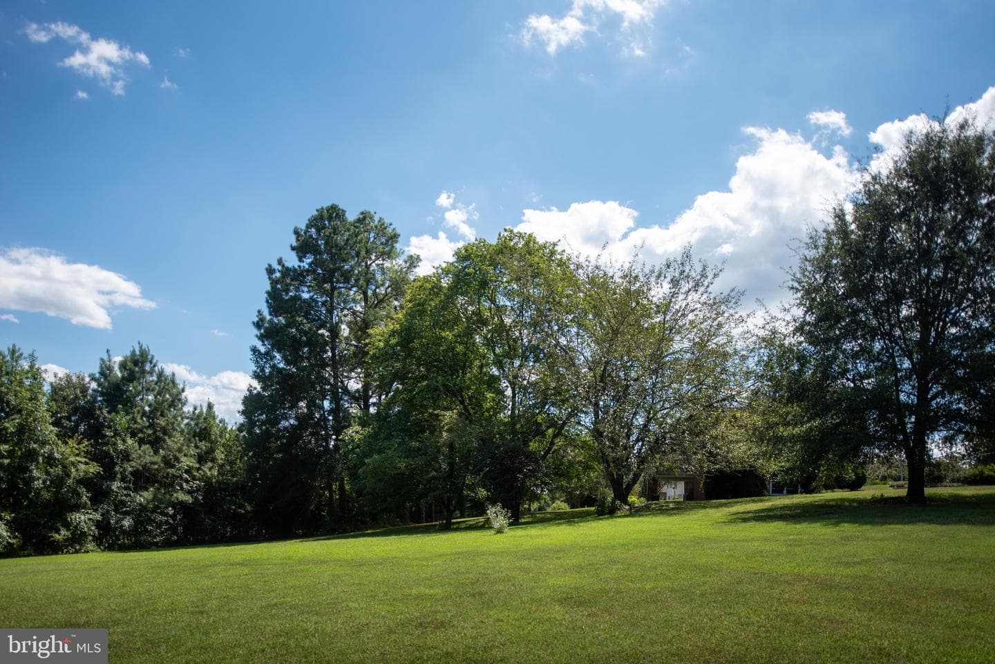 1225 Woodstock Road photo 81