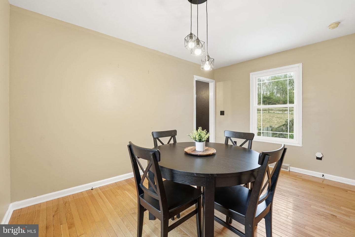8278 Passapatanzy Drive photo 13