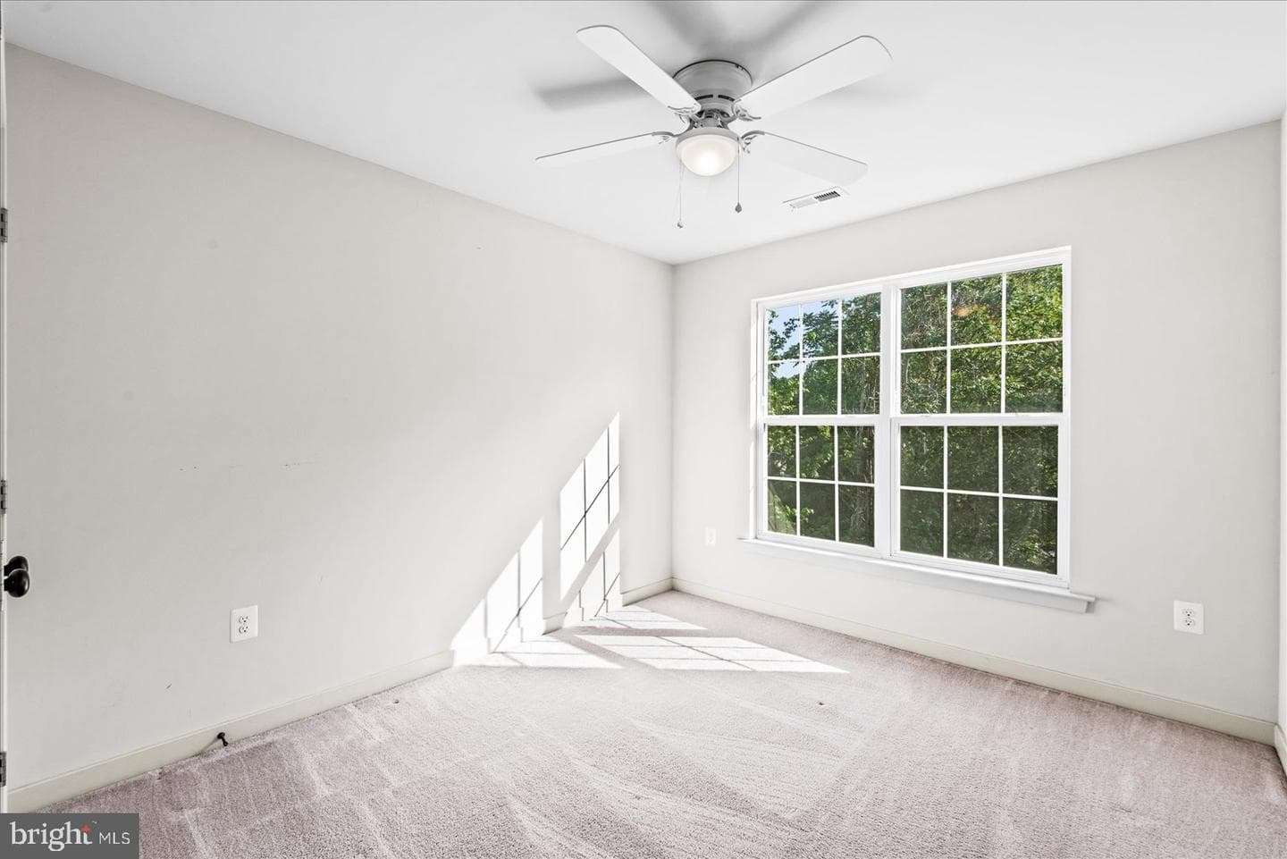 6731 Ginseng Lane photo 34