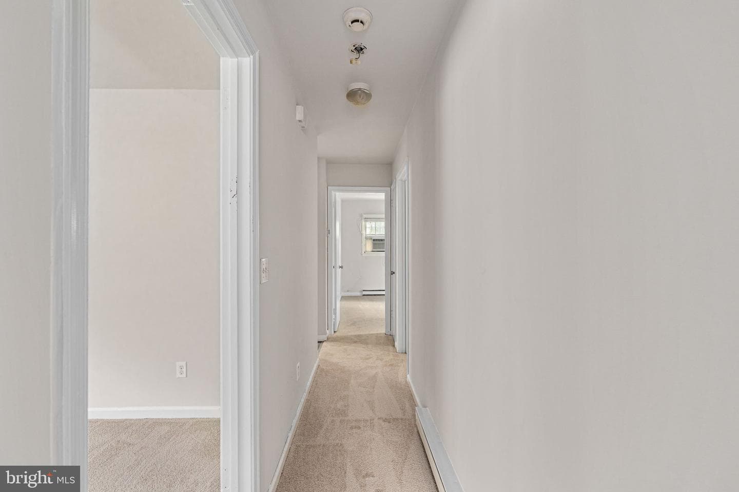 14208 Springfield Lane photo 19