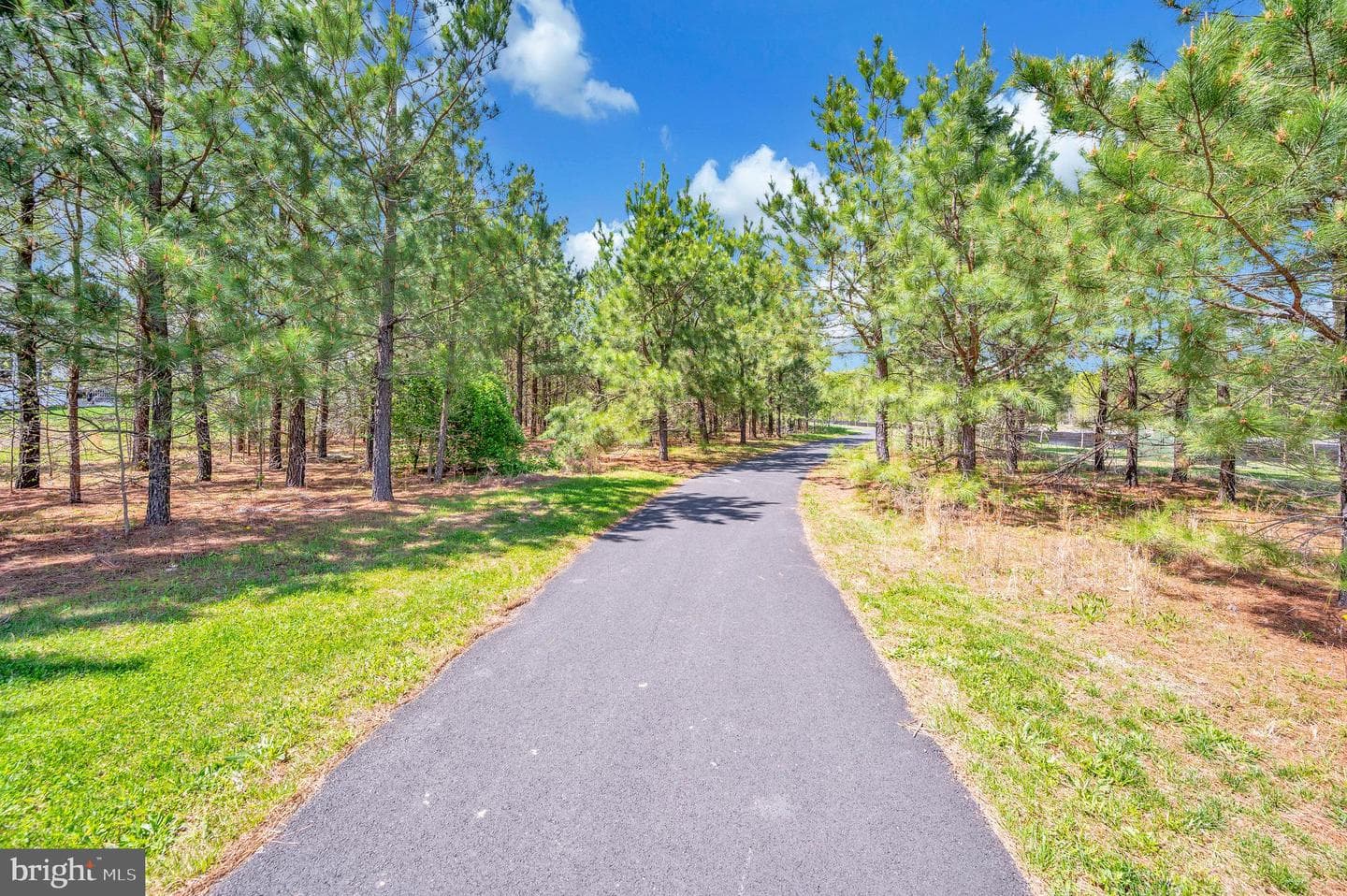 6504 Hawkeye Drive photo 69