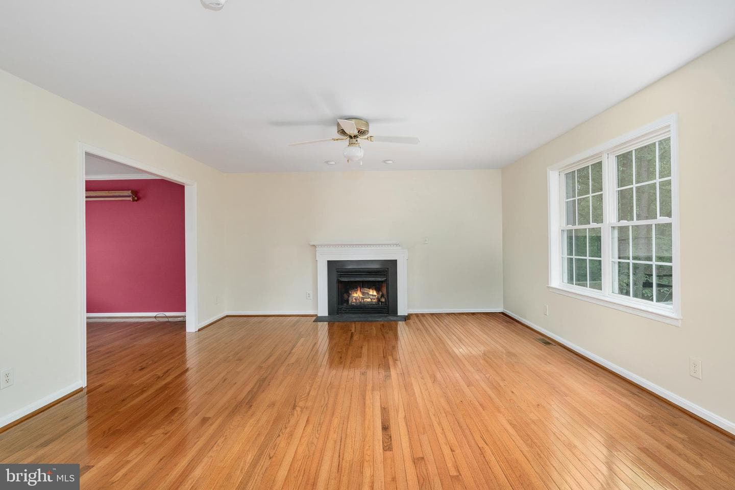 6987 Aidan Way photo 19
