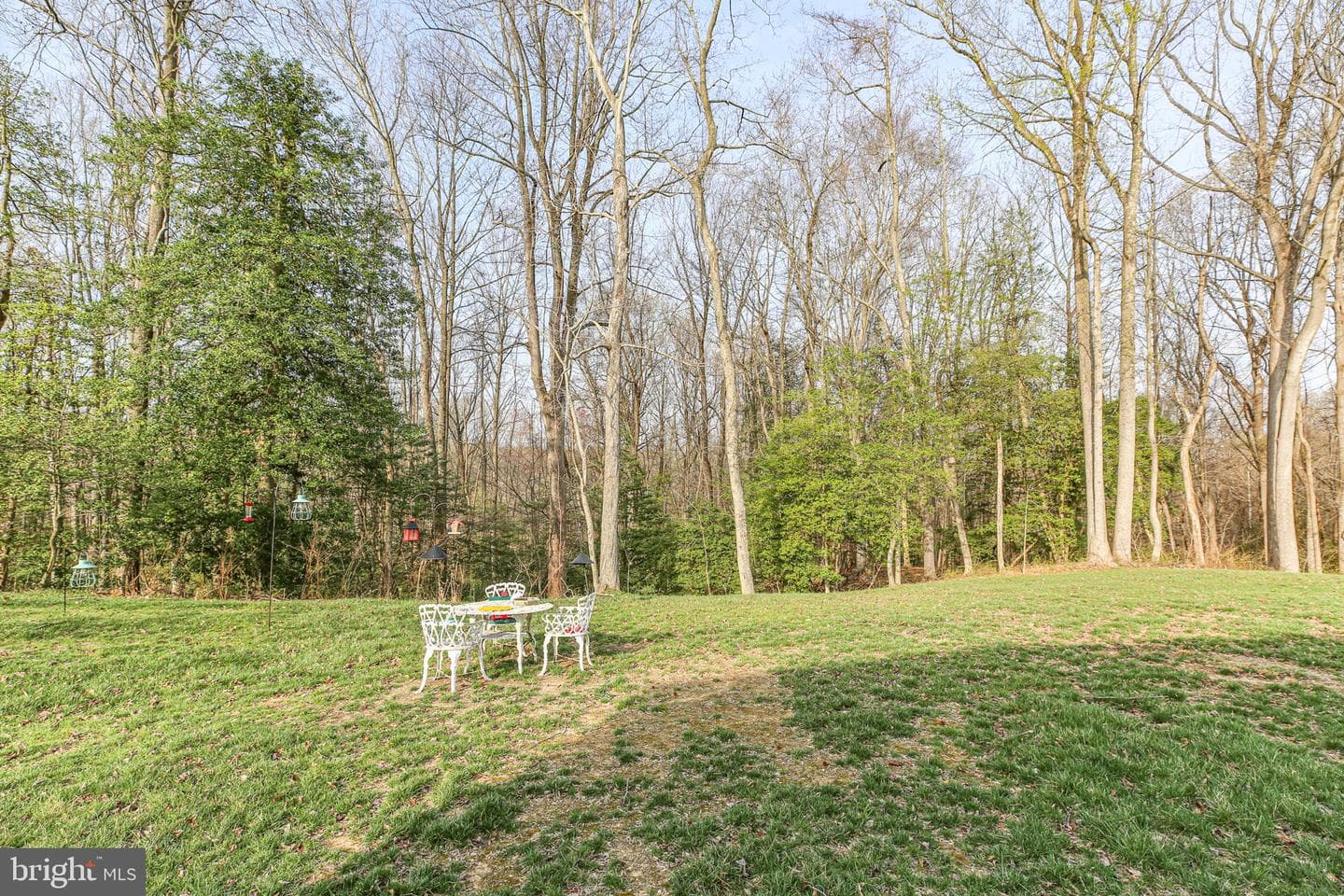 6710 Ginseng Lane photo 57