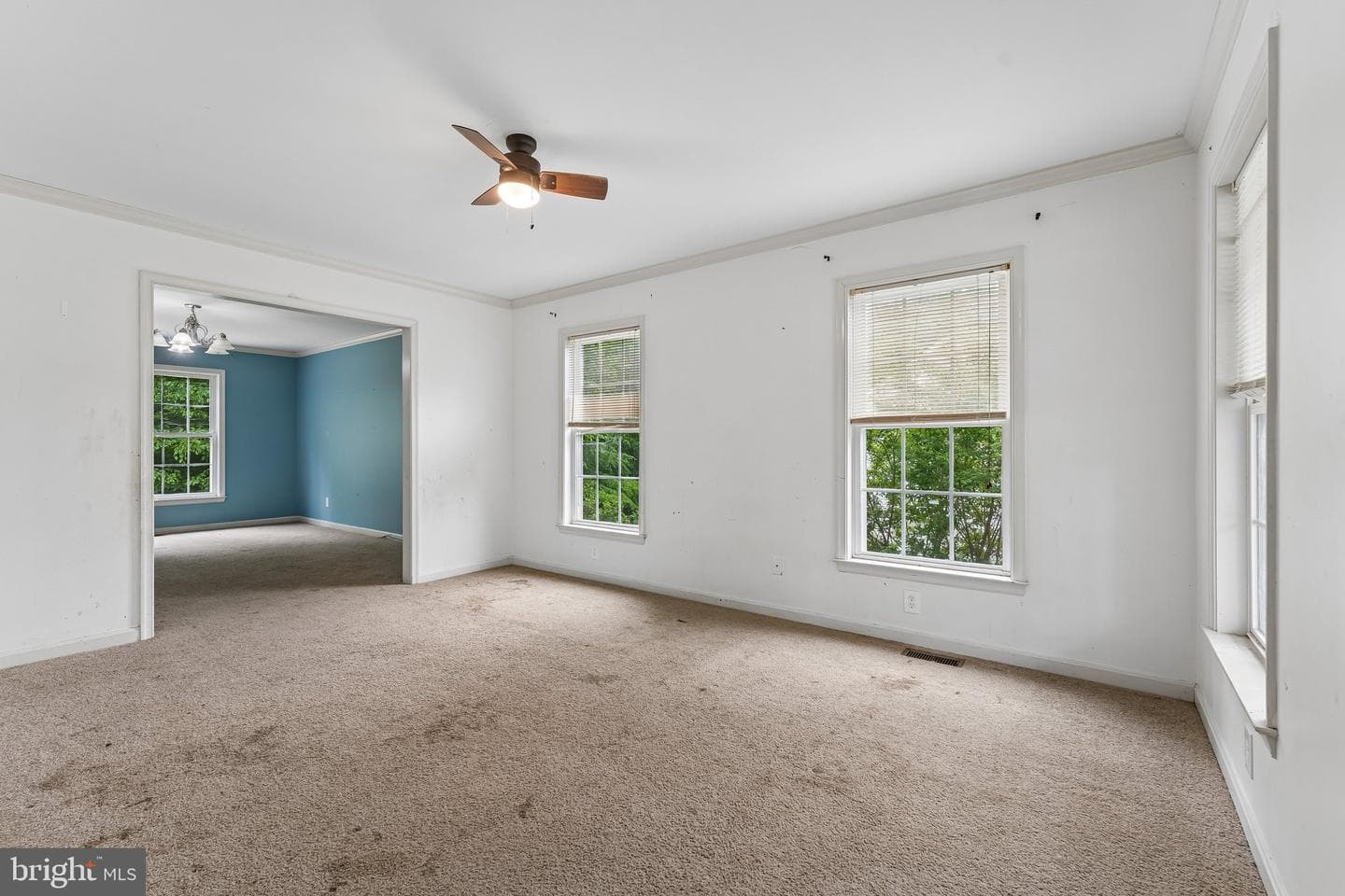 6286 Dawes Drive photo 12