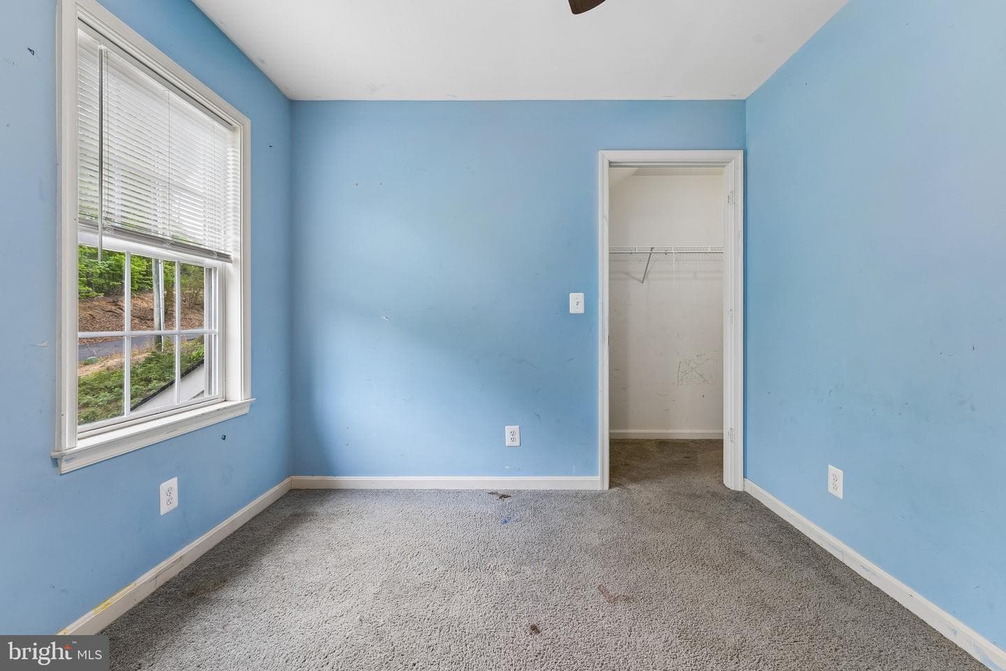6286 Dawes Drive photo 23