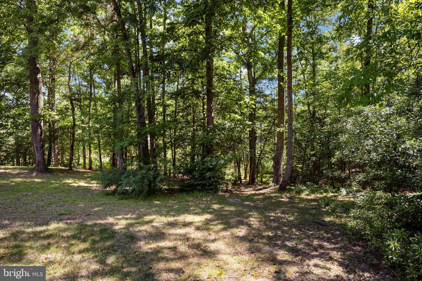 2381 Nancy Lane photo 92