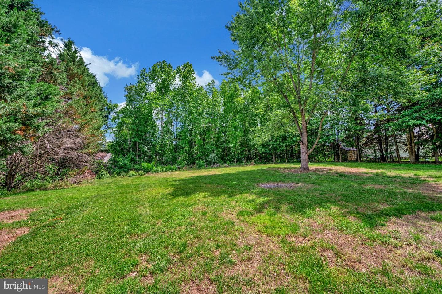 9641 Pamunkey Drive photo 8