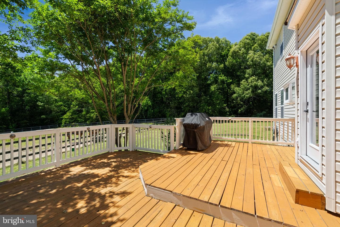 2076 Percheron Drive photo 59