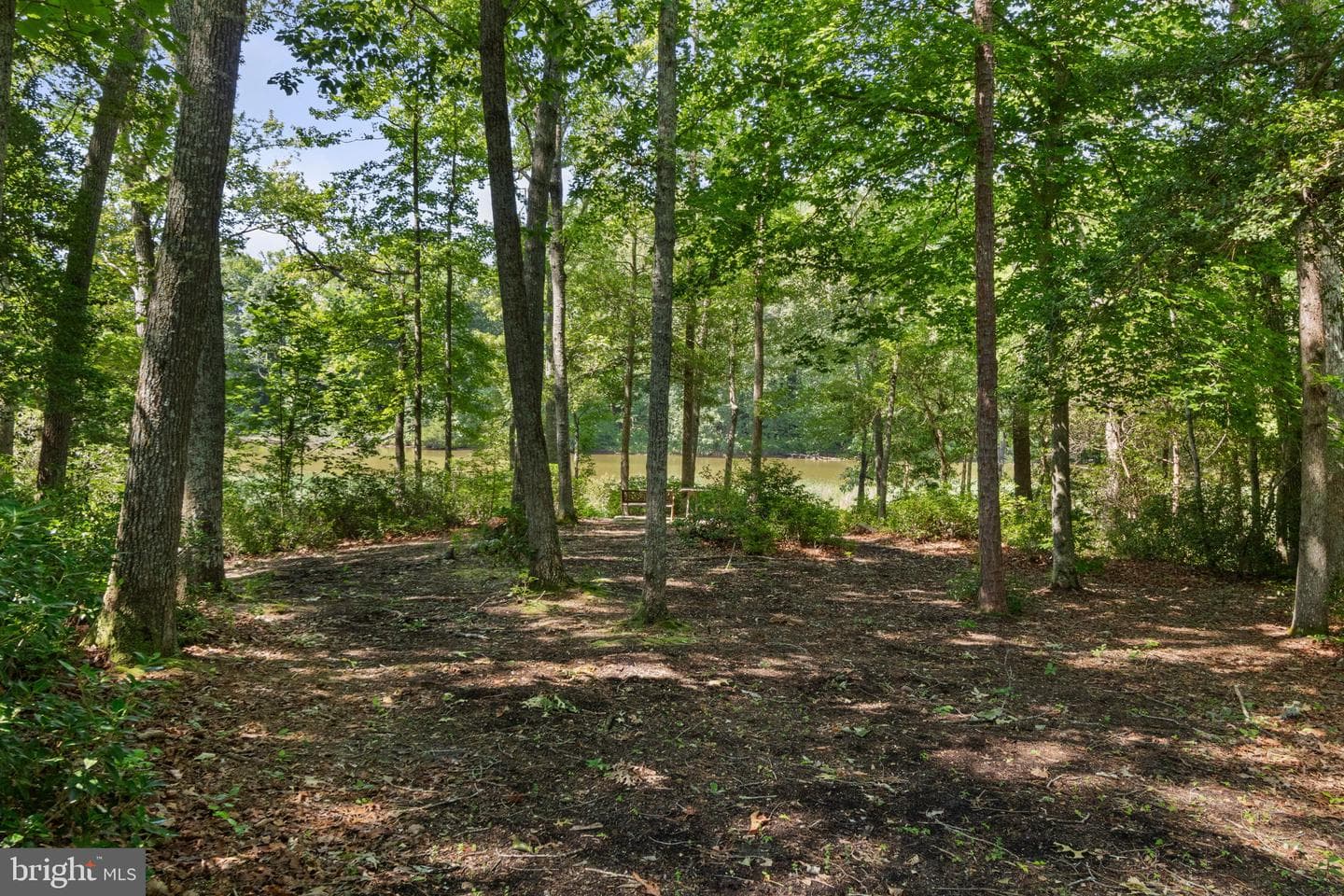 14760 Peach Tree Lane photo 49