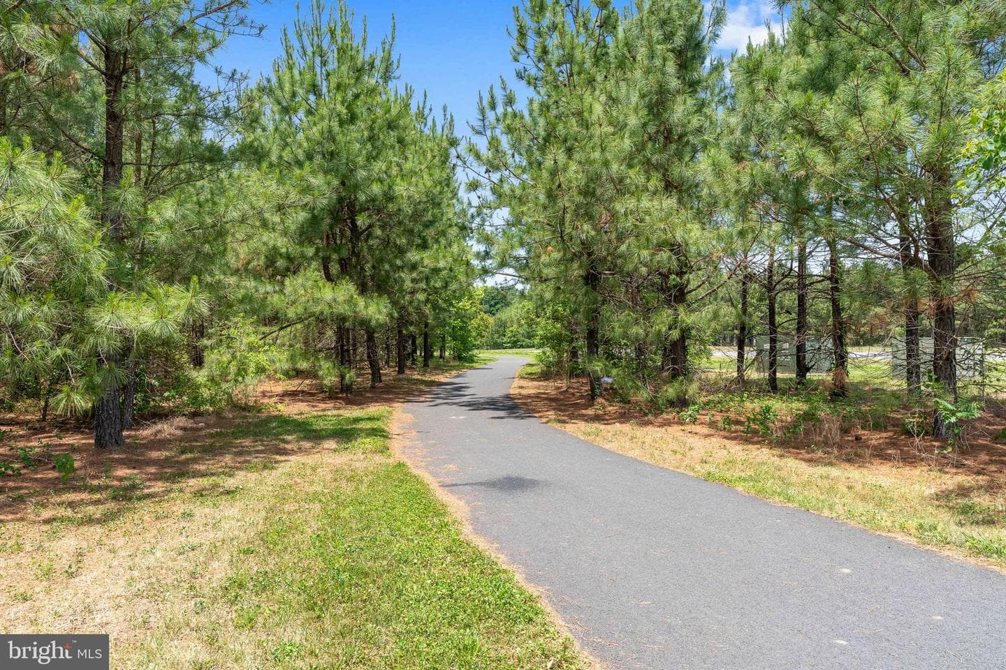 6306 Bobcat Lane photo 74