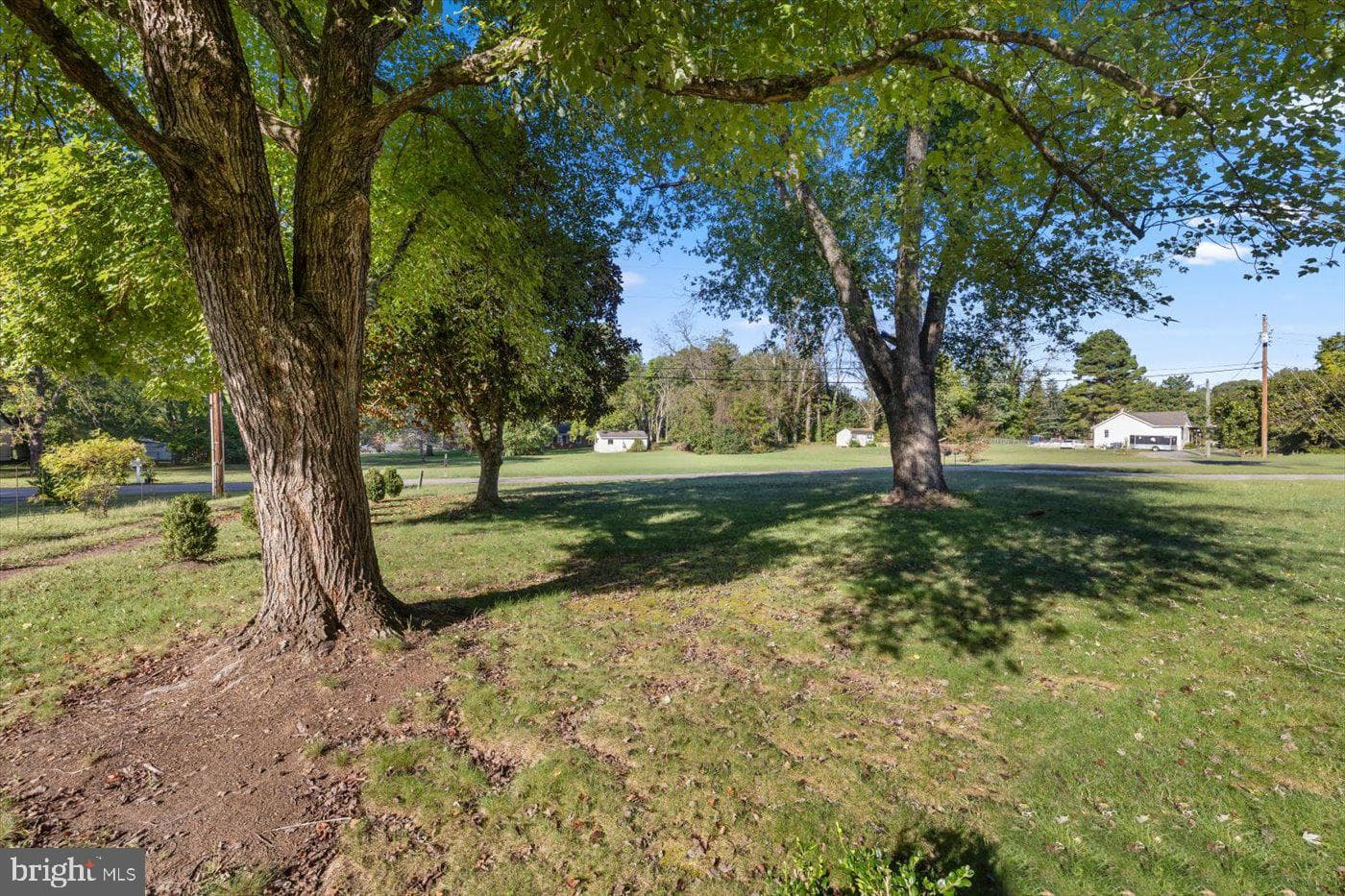 8251 Hickory Drive photo 28