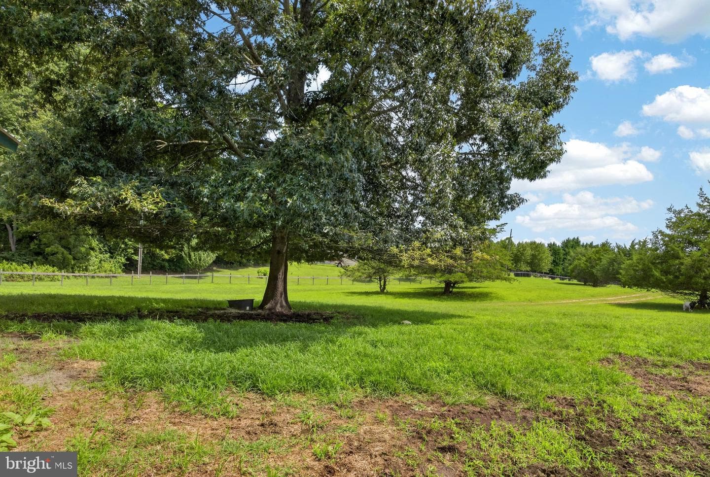 11004 Laforce Lane photo 90