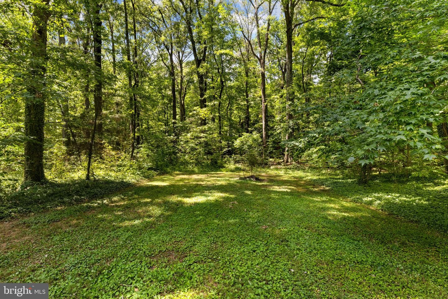 1517 Kings Highway photo 51