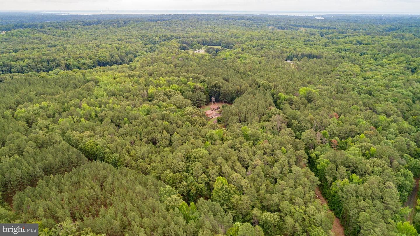 11051 Alden Road photo 82
